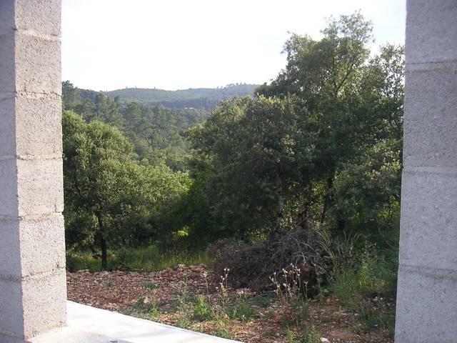 214.jpg - KONICA MINOLTA DIGITAL CAMERA  