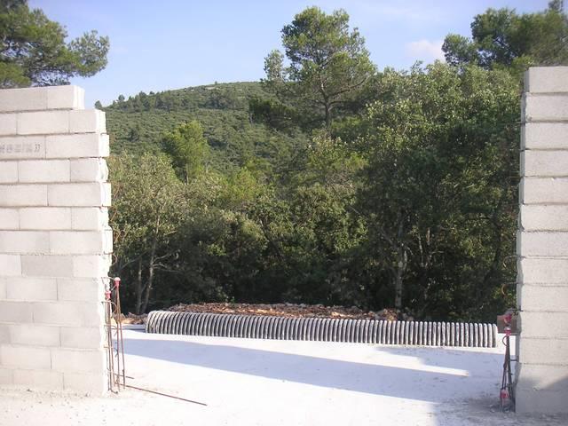 215.jpg - KONICA MINOLTA DIGITAL CAMERA  