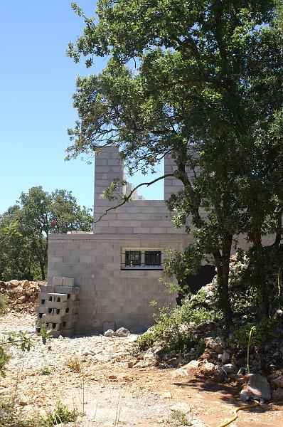 PICT0002.JPG - KONICA MINOLTA DIGITAL CAMERA