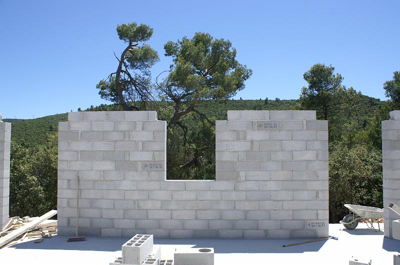 PICT0011.JPG - KONICA MINOLTA DIGITAL CAMERA