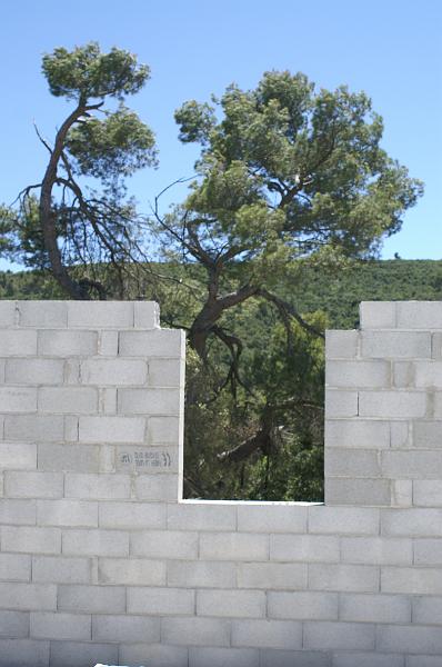 PICT0012.JPG - KONICA MINOLTA DIGITAL CAMERA