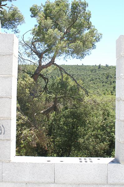 PICT0014.JPG - KONICA MINOLTA DIGITAL CAMERA