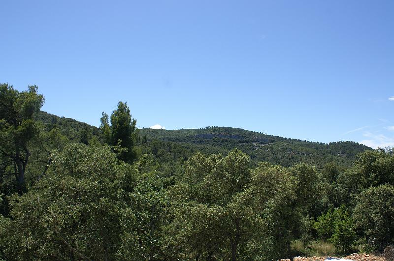 PICT0020.JPG - KONICA MINOLTA DIGITAL CAMERA