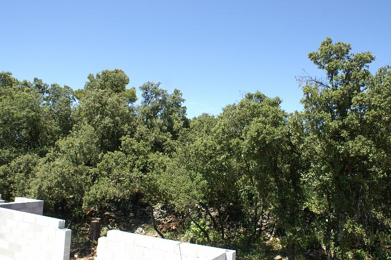 PICT0022.JPG - KONICA MINOLTA DIGITAL CAMERA