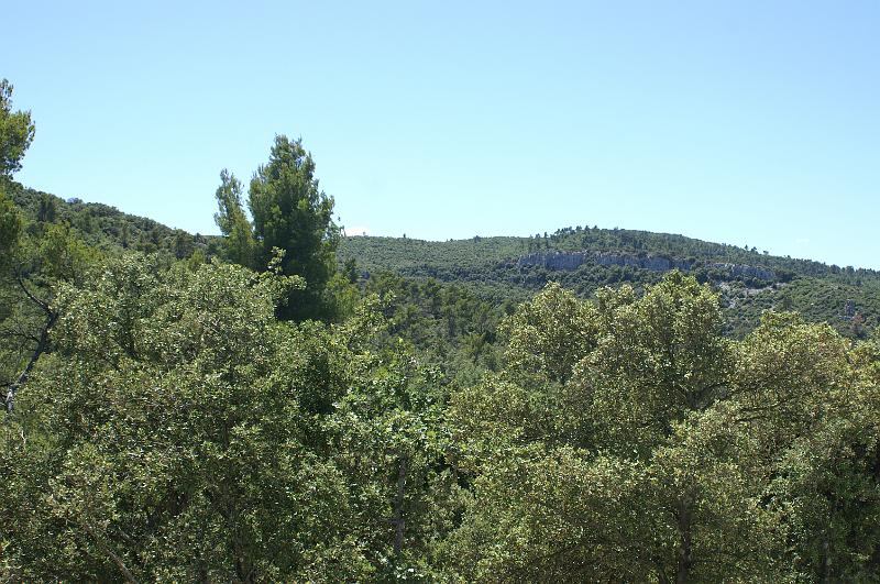 PICT0025.JPG - KONICA MINOLTA DIGITAL CAMERA