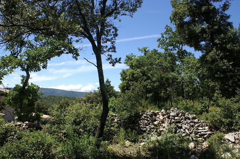 PICT0028.JPG - KONICA MINOLTA DIGITAL CAMERA