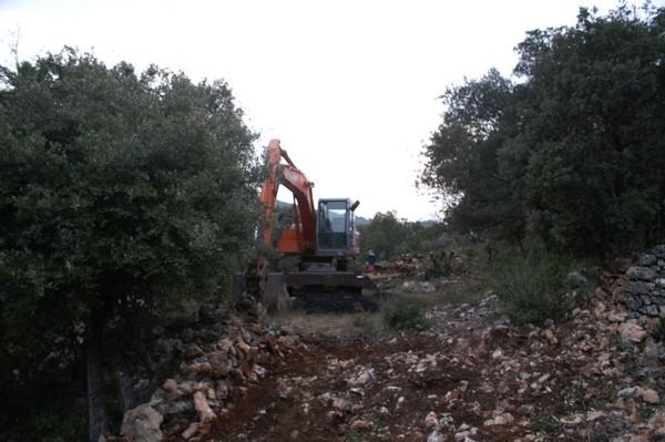 014.jpg - KONICA MINOLTA DIGITAL CAMERA