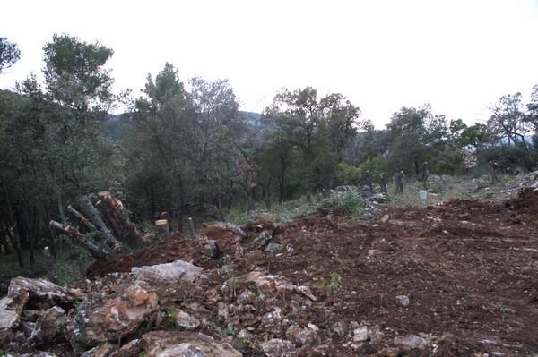 015.jpg - KONICA MINOLTA DIGITAL CAMERA