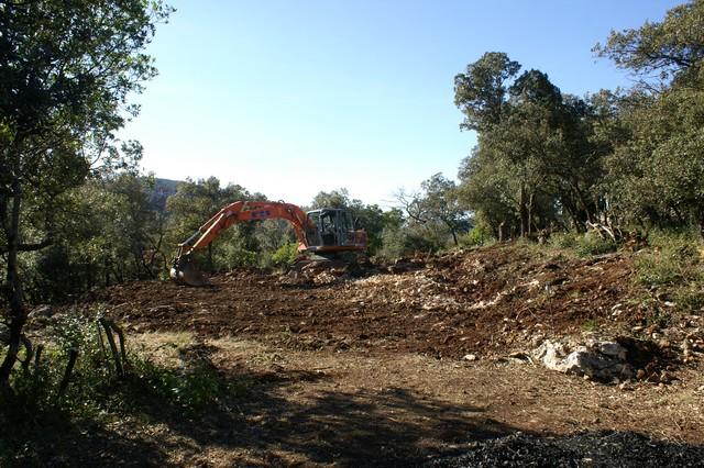 019.jpg - KONICA MINOLTA DIGITAL CAMERA