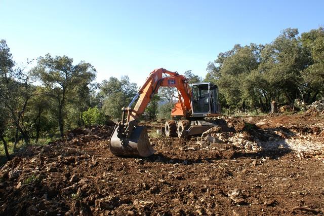 020.jpg - KONICA MINOLTA DIGITAL CAMERA