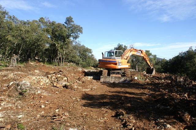 021.jpg - KONICA MINOLTA DIGITAL CAMERA