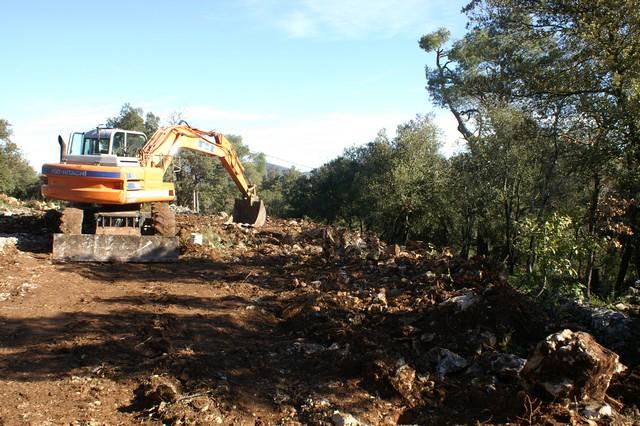 023.jpg - KONICA MINOLTA DIGITAL CAMERA