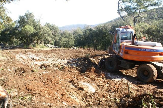 024.jpg - KONICA MINOLTA DIGITAL CAMERA