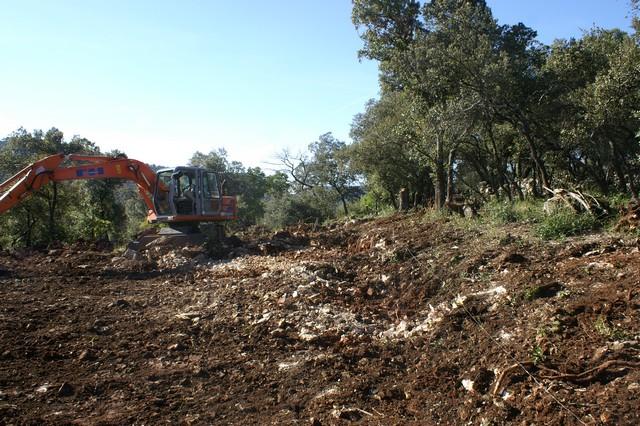 025.jpg - KONICA MINOLTA DIGITAL CAMERA