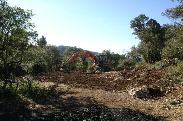 026.jpg - KONICA MINOLTA DIGITAL CAMERA