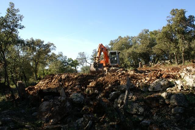 027.jpg - KONICA MINOLTA DIGITAL CAMERA