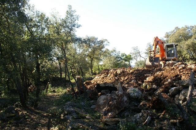 028.jpg - KONICA MINOLTA DIGITAL CAMERA