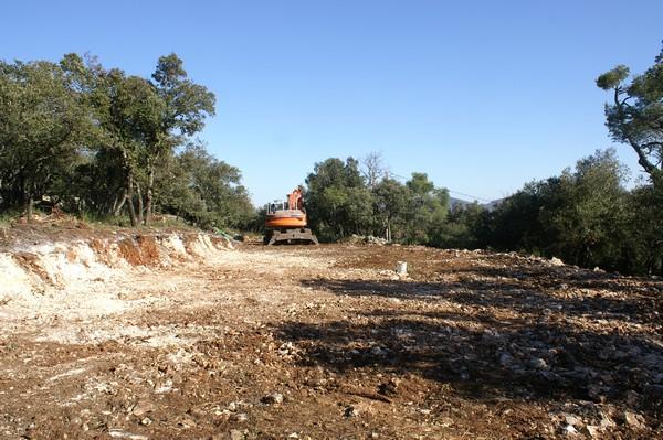 030.jpg - KONICA MINOLTA DIGITAL CAMERA