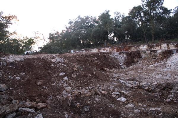 035.jpg - KONICA MINOLTA DIGITAL CAMERA