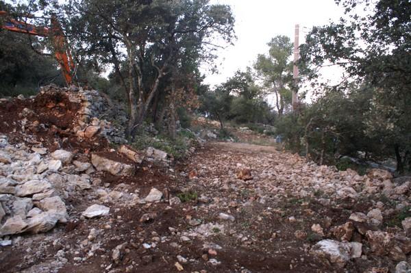 036.jpg - KONICA MINOLTA DIGITAL CAMERA