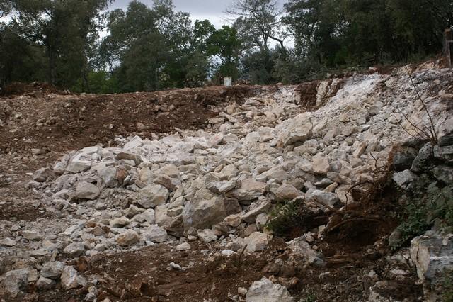 040.jpg - KONICA MINOLTA DIGITAL CAMERA