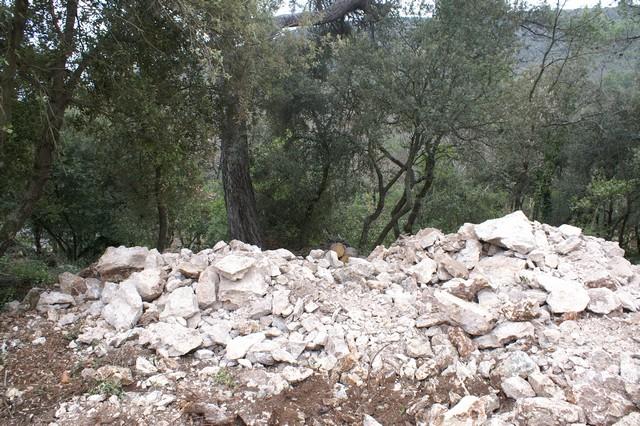 041.jpg - KONICA MINOLTA DIGITAL CAMERA