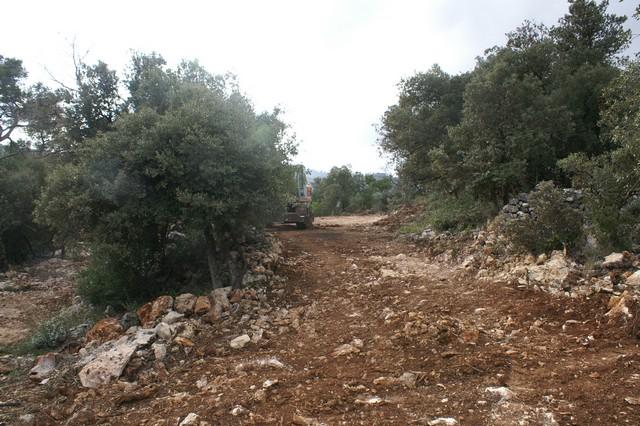 046.jpg - KONICA MINOLTA DIGITAL CAMERA