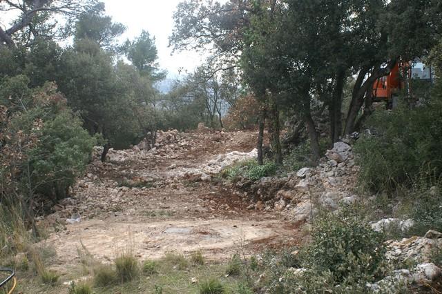 047.jpg - KONICA MINOLTA DIGITAL CAMERA