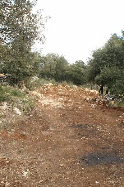 048.jpg - KONICA MINOLTA DIGITAL CAMERA