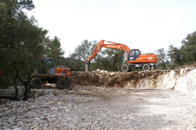 050.jpg - KONICA MINOLTA DIGITAL CAMERA