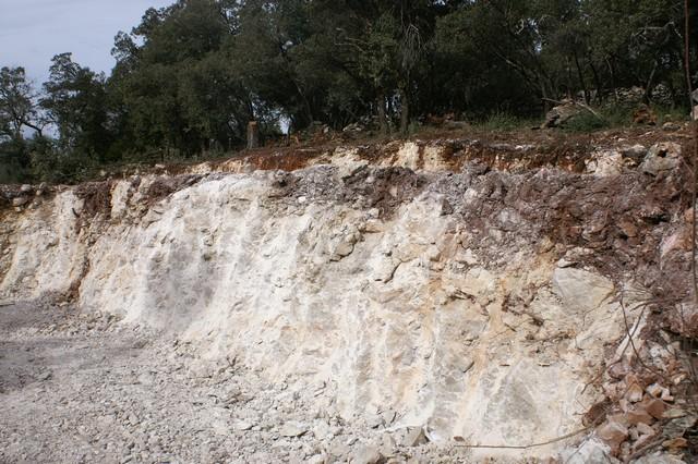 051.jpg - KONICA MINOLTA DIGITAL CAMERA