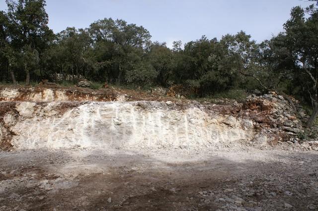 052.jpg - KONICA MINOLTA DIGITAL CAMERA