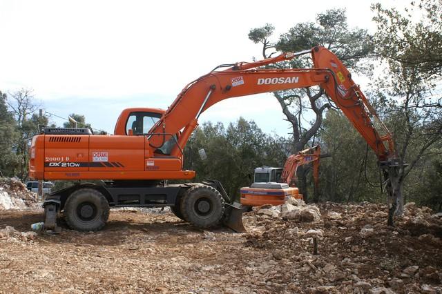 054.jpg - KONICA MINOLTA DIGITAL CAMERA