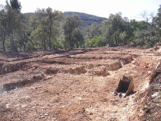 071.jpg - KONICA MINOLTA DIGITAL CAMERA  