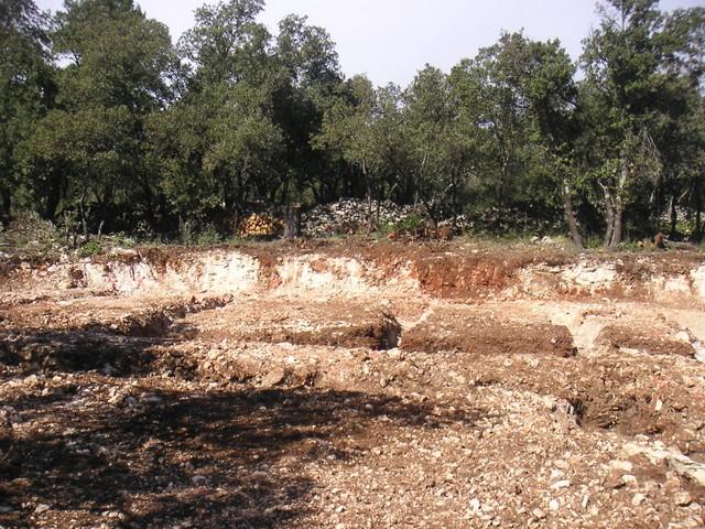 074.jpg - KONICA MINOLTA DIGITAL CAMERA  